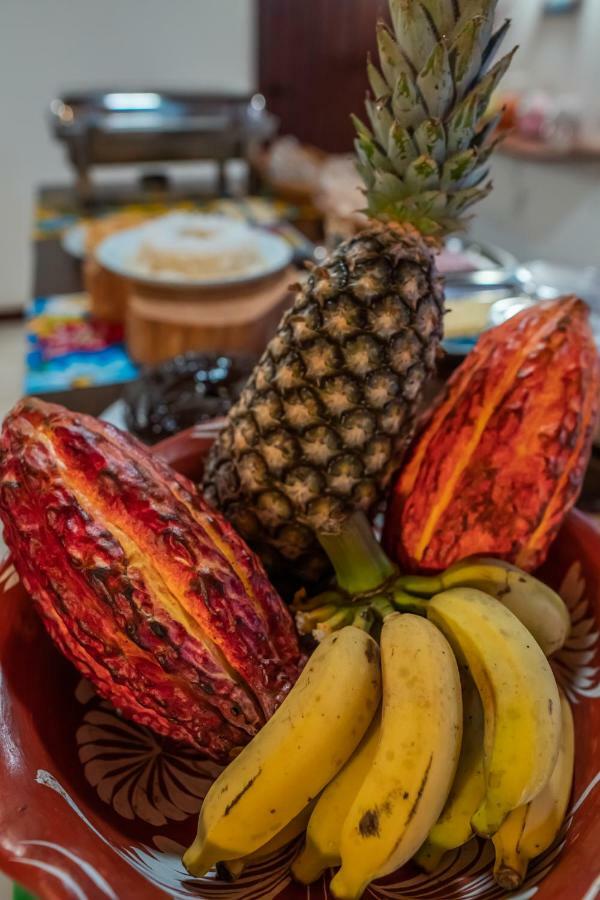 Pousada Bambu Itacaré Dış mekan fotoğraf